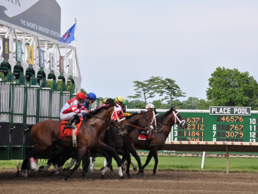 War at the Shore:  The $1,000,000 G1 Haskell at Monmouth Park