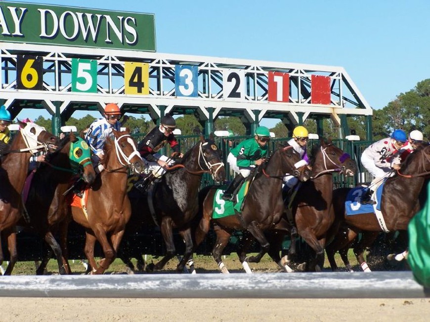 Next Stop:  Tampa Bay Downs for the G3 Sam F. Davis