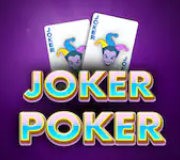 MI online casinos video poker